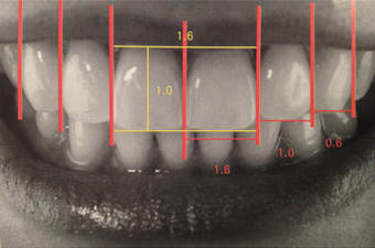 前歯の並びに存在する黄金比